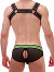 Backless Pavel Mesh Brief