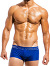 Boxer de bain Brand Brazil Cut - Bleu